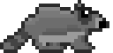 File:Raccoon.png