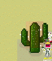 Thumbnail for version as of 05:11, 8 March 2026